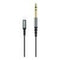AS-51175 Type-C To Male 6.35 Cable 1.5m